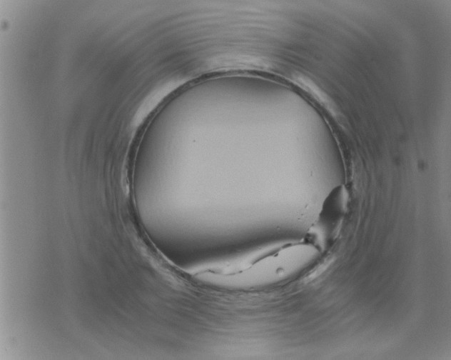 X0000075890885200610151748