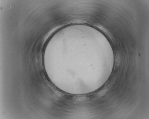 X0000075890886200610151748