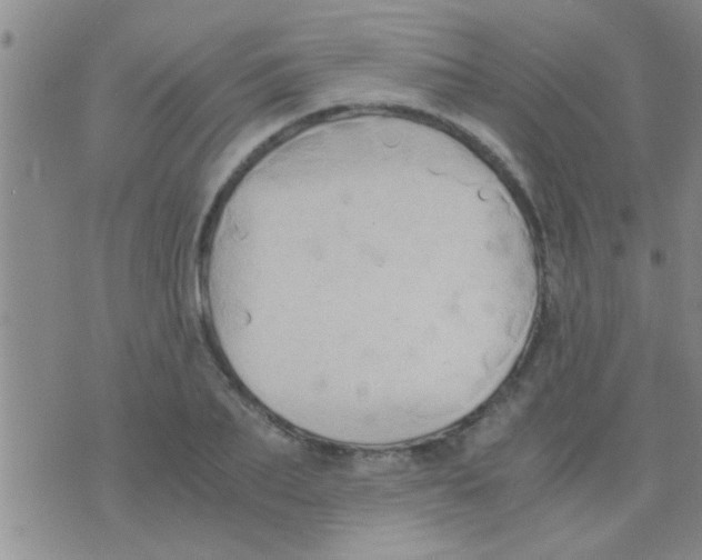 X0000075890887200610151748