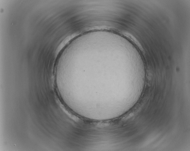 X0000075890890200610151748