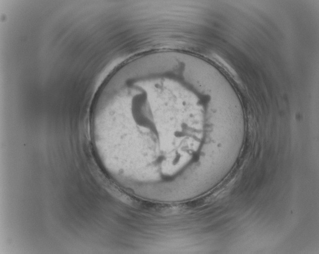 X0000075890891200610151748