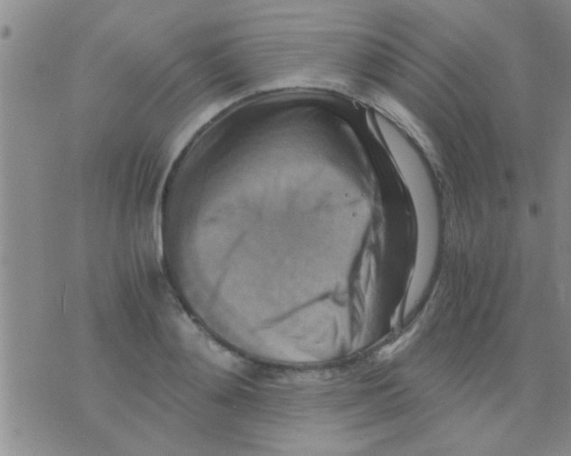 X0000075890892200610151748