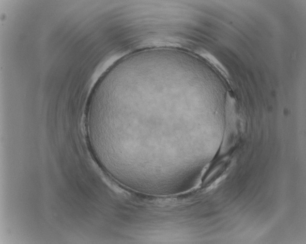 X0000075890893200610151748