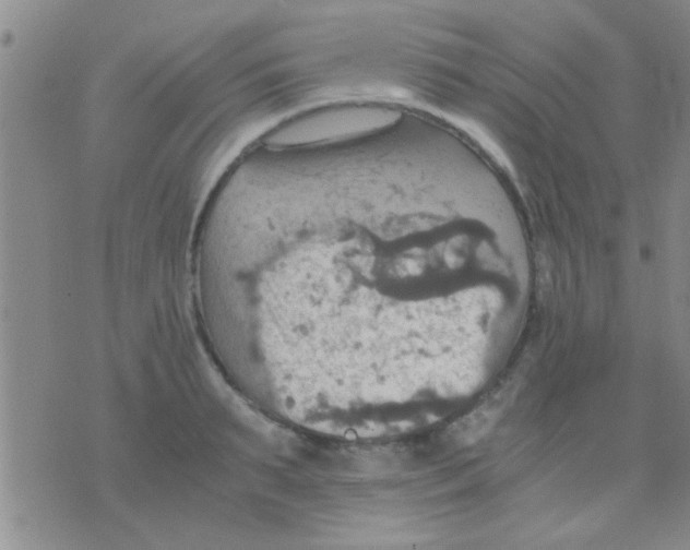 X0000075890895200610151748