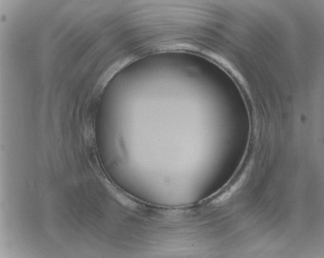 X0000075890897200610151748