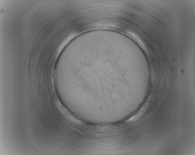 X0000075890899200610151748