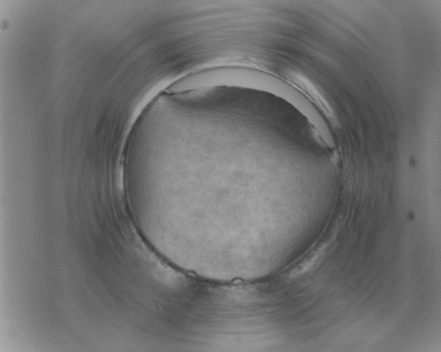 X0000075890900200610151748