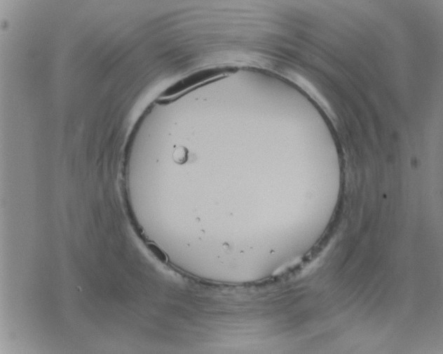 X0000075890901200610151748