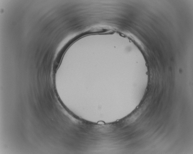 X0000075890902200610151748