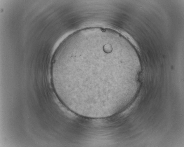 X0000075890904200610151748