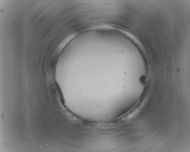 X0000075890905200610151748