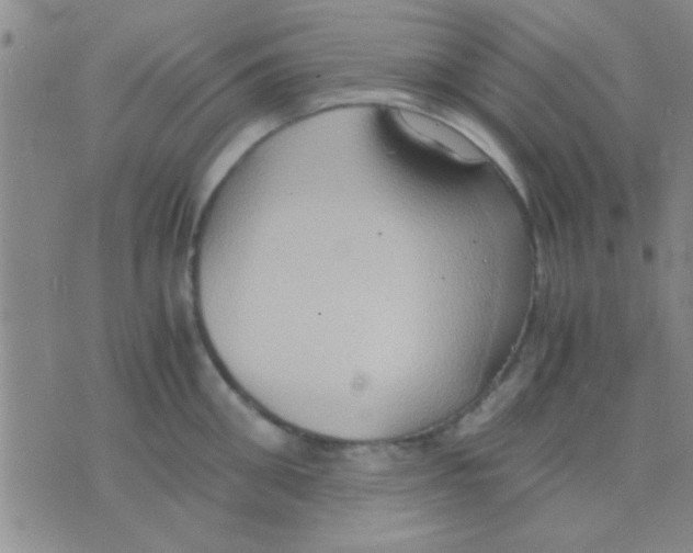 X0000075890906200610151748