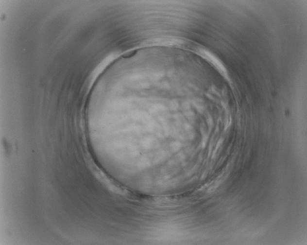 X0000075890907200610151748