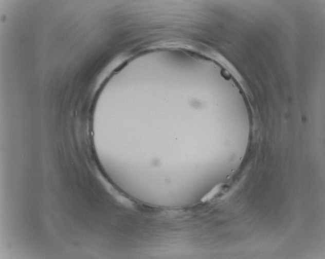 X0000075890909200610151748