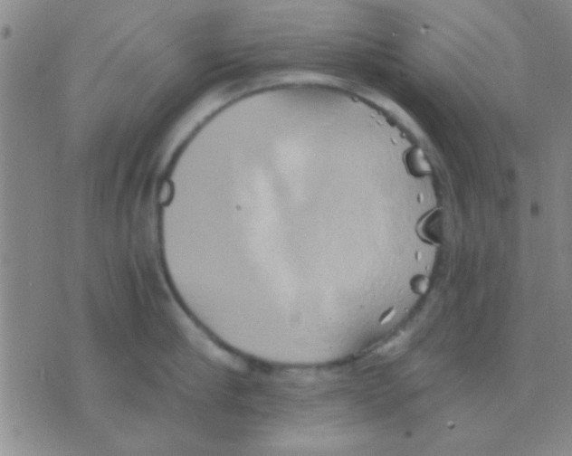 X0000075890910200610151748