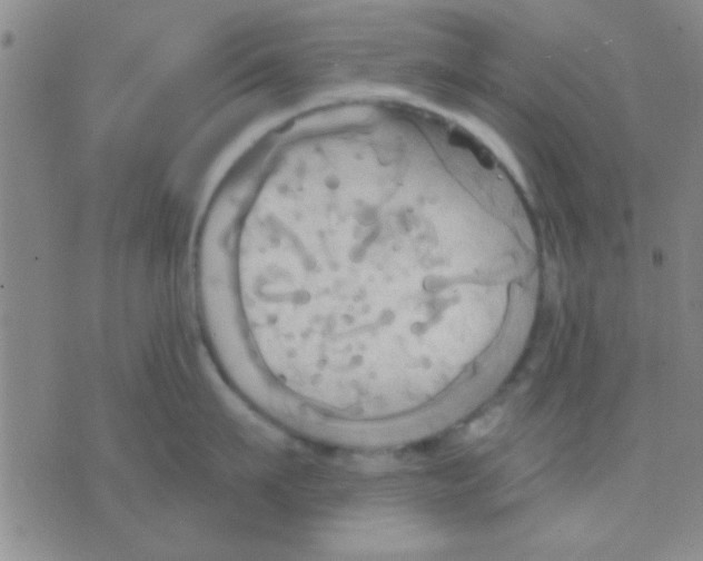 X0000075890911200610151748