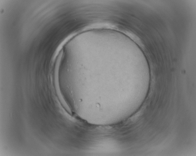 X0000075890912200610151748