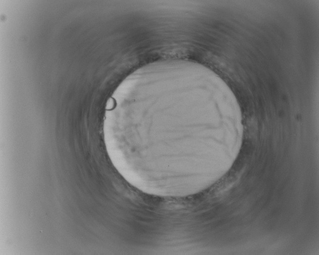 X0000075890913200610151747