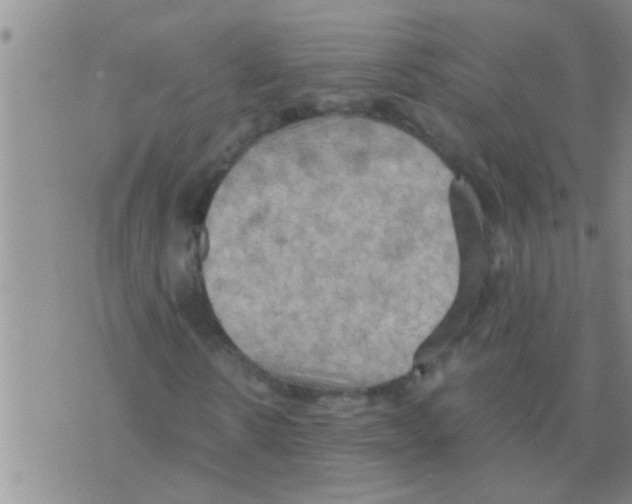 X0000075890914200610151747