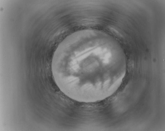 X0000075890917200610151747