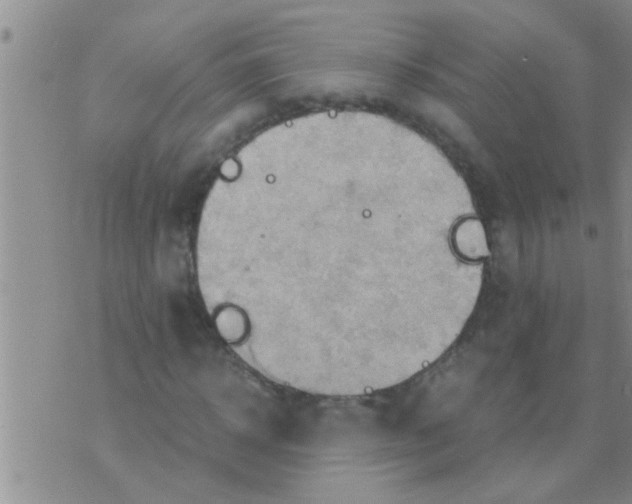 X0000075890918200610151747