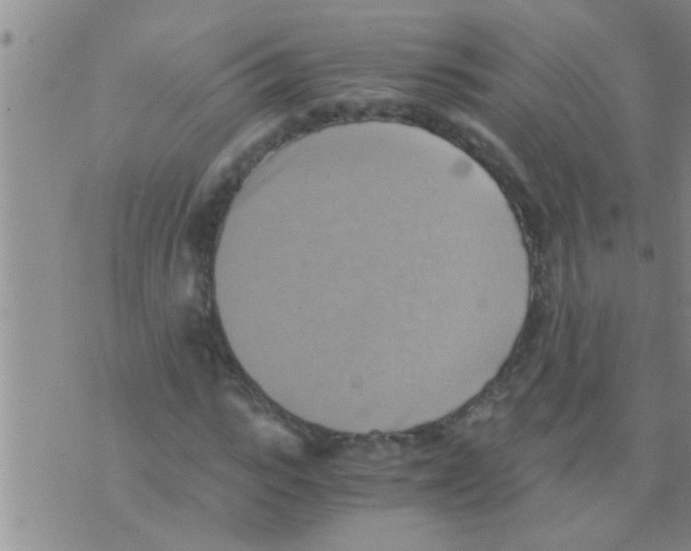 X0000075890919200610151747