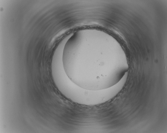 X0000075890920200610151747