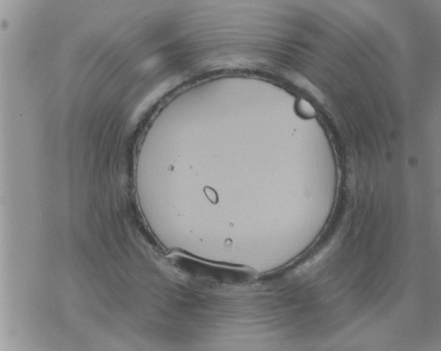 X0000075890922200610151747