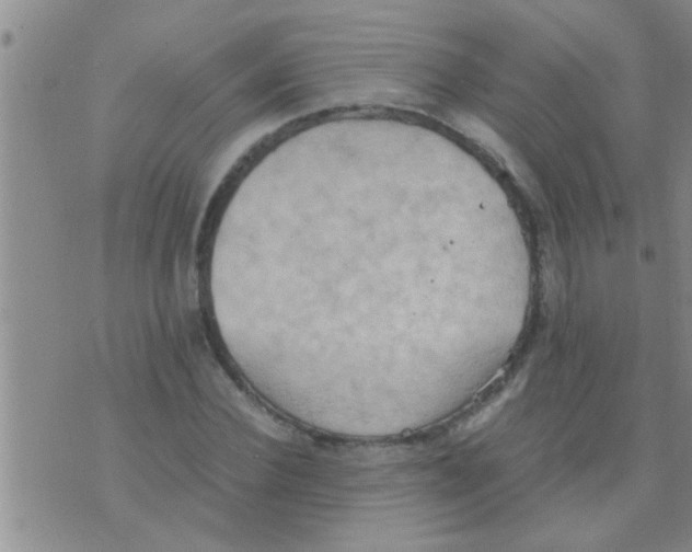 X0000075890924200610151747