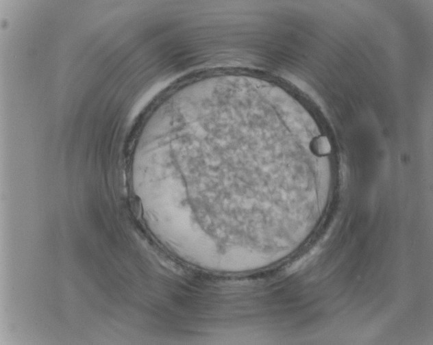 X0000075890925200610151747