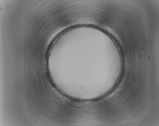 X0000075890926200610151747