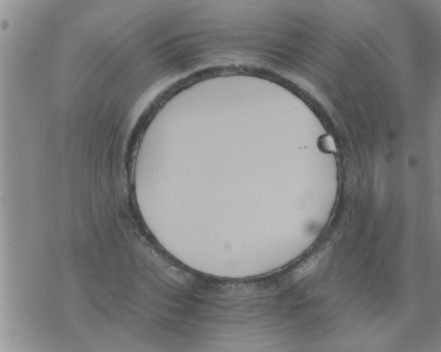 X0000075890927200610151747