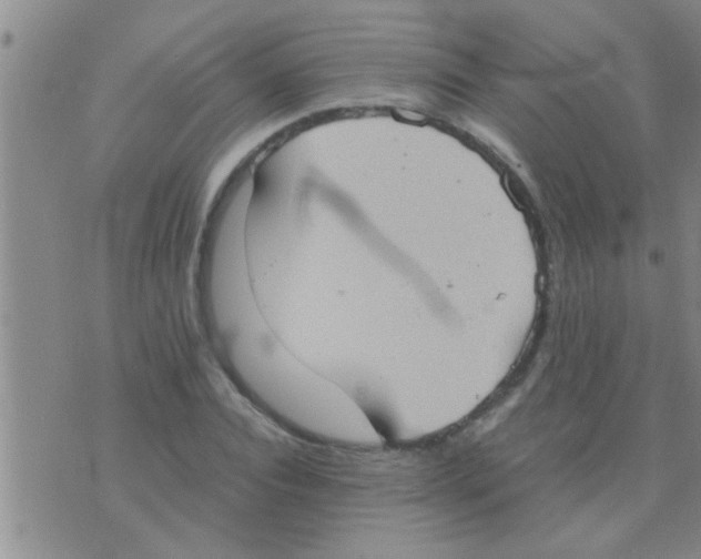 X0000075890928200610151747