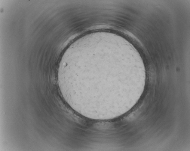 X0000075890929200610151747