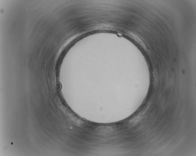 X0000075890931200610151747