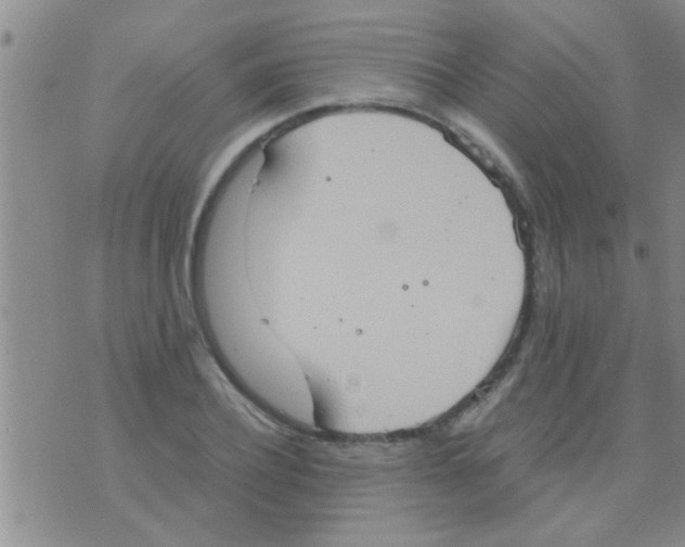 X0000075890932200610151747