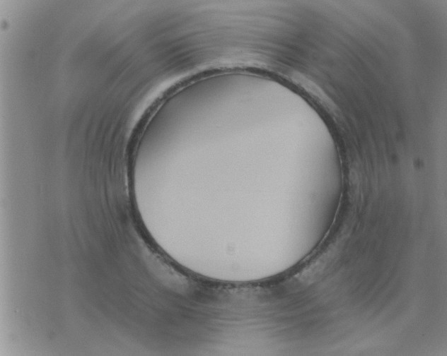 X0000075890934200610151747