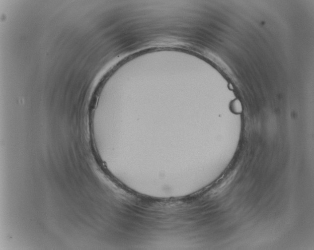 X0000075890939200610151748