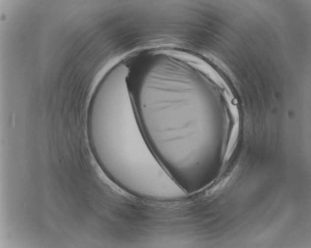 X0000075890941200610151748