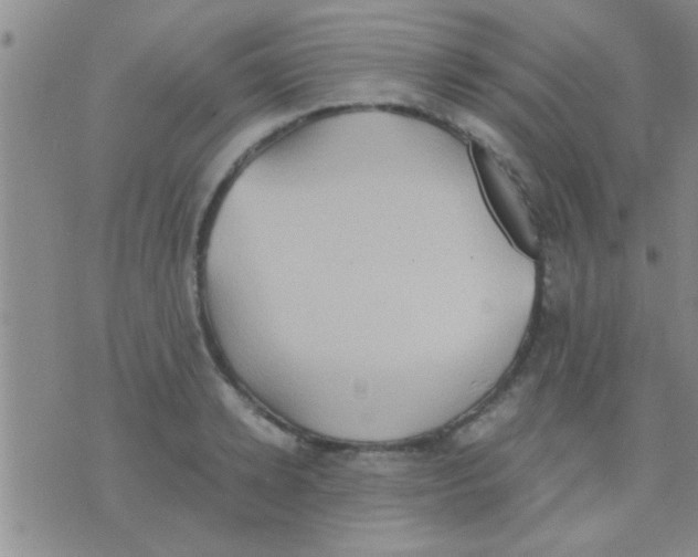 X0000075890942200610151748