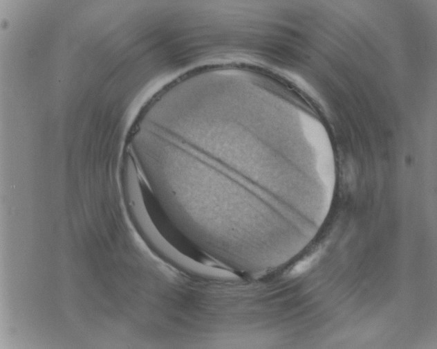 X0000075890943200610151748