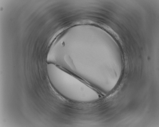 X0000075890945200610151748