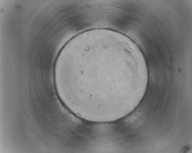 X0000075890950200610151748