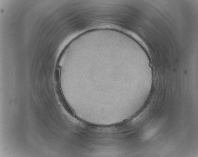 X0000075890951200610151748