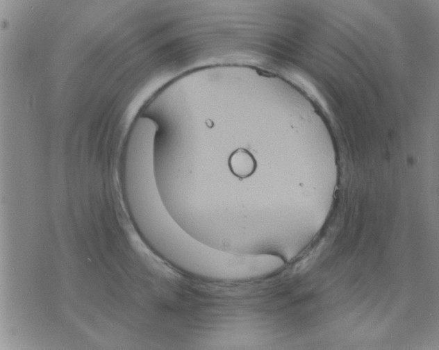 X0000075890952200610151748