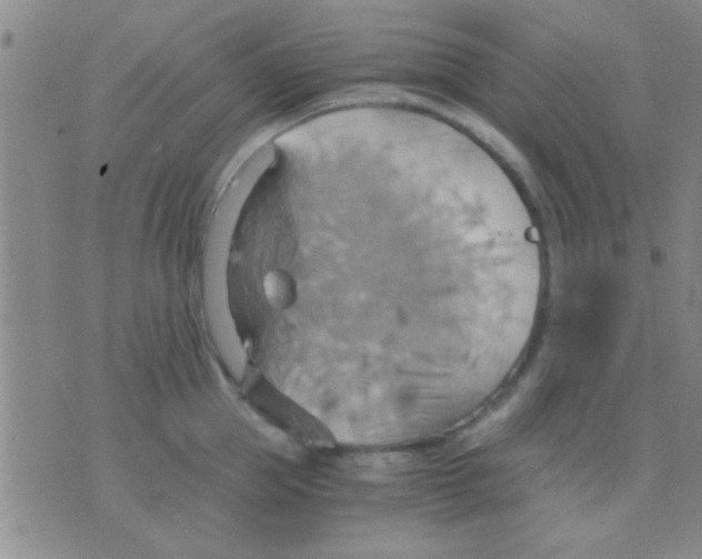 X0000075890953200610151748