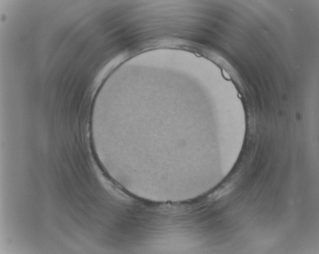 X0000075890954200610151748