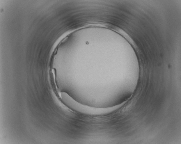 X0000075890955200610151748