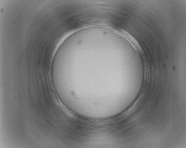 X0000075890956200610151748