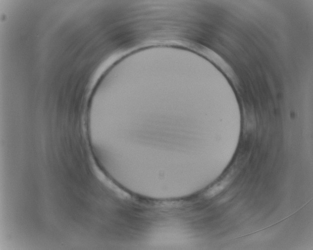 X0000075890958200610151748